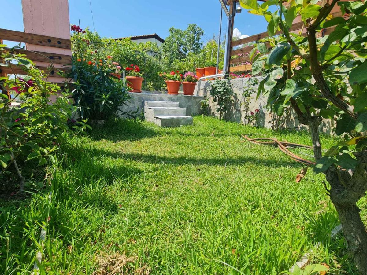 Stella'S Garden Villa Palaiontsiflikion Exterior photo